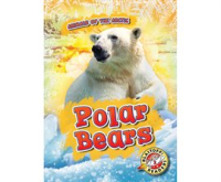 Polar Bears by Pettiford, Rebecca